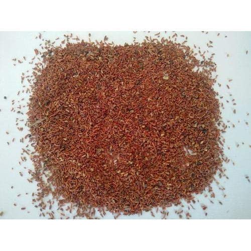 Banyan Tree Seeds (Ficus Benghalensis) – For Avenue Planting and Shade Tree Growth SRI SAI FORESTRY