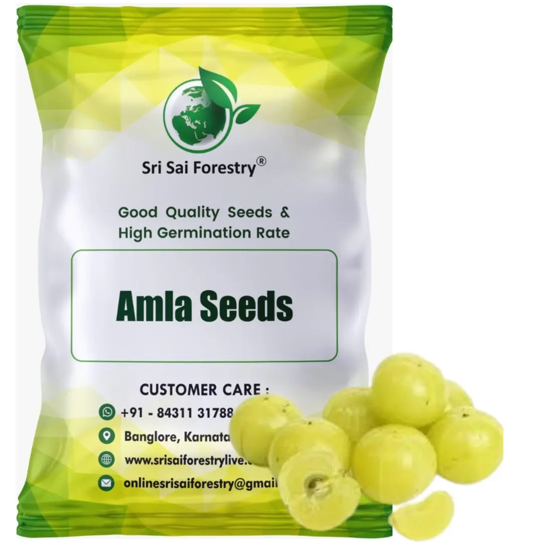 plant gooseberry seeds Amla Seeds | Indian Gooseberry Tree Seeds for Planting
