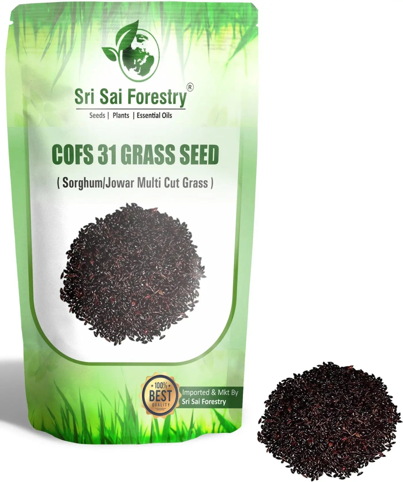 COFS 31 Grass Seeds Multi Cut Grass Seeds for Cow, Goat Grass Seeds SRI SAI FORESTRY