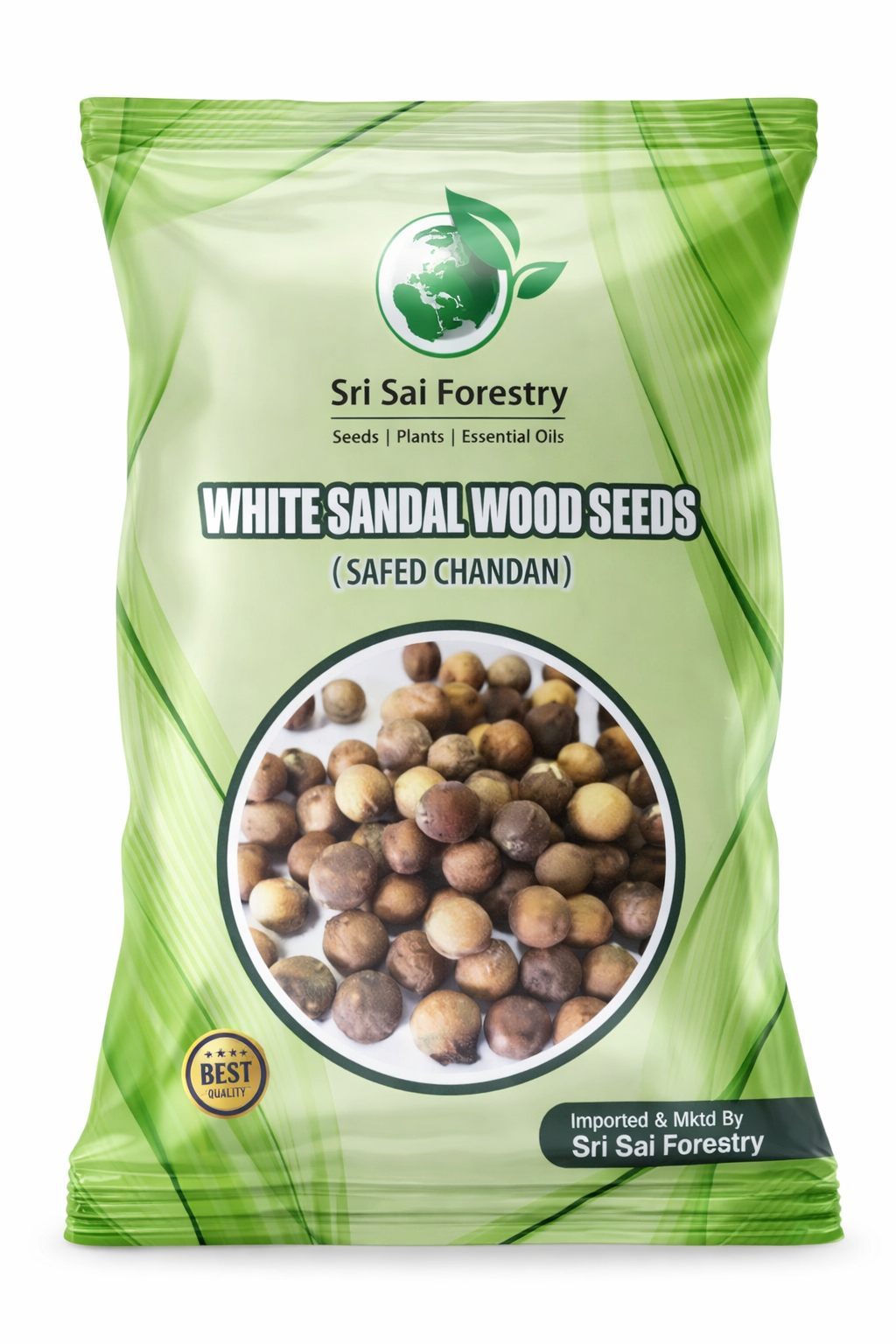planting sandalwood seeds White Sandalwood Seeds (Chandan Seeds) Online from Sri Sai Forestry – SRI SAI FORESTRY