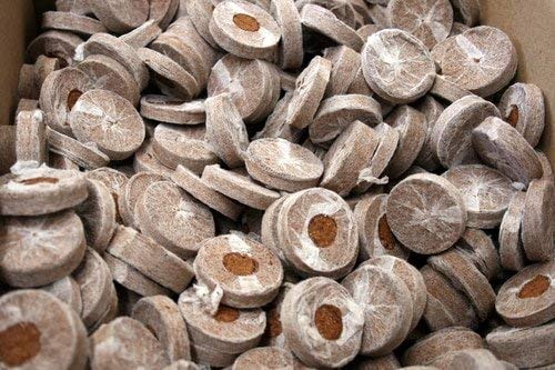Coco Coir Pellets - 50mm - Organic Coconut Fiber Soil Conditioner for Gardening, Eco-Friendly Seed Starter & Hydroponic Growing Medium, 100% Natural Coco Pellets for Plants SRI SAI FORESTRY