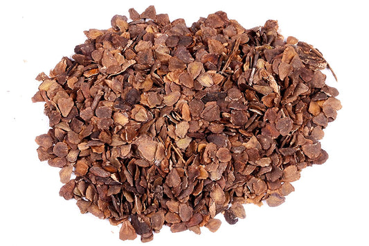 Blue Jacaranda (Jacaranda Mimosifolia) Tree Seeds – Elegant Avenue and Live Fencing Flowering Tree SRI SAI FORESTRY