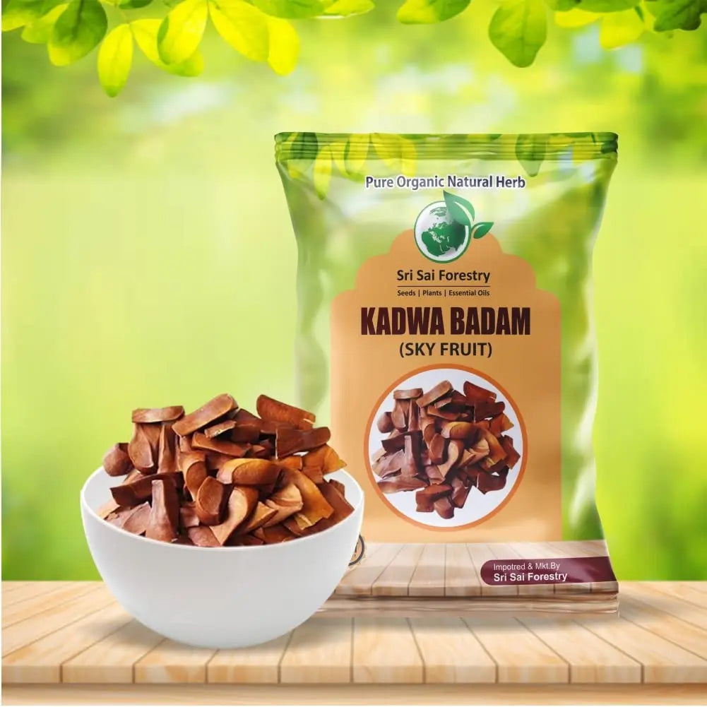 Kadwa Badam Seeds - Sky Fruit Seed - Unpeeled SRI SAI FORESTRY