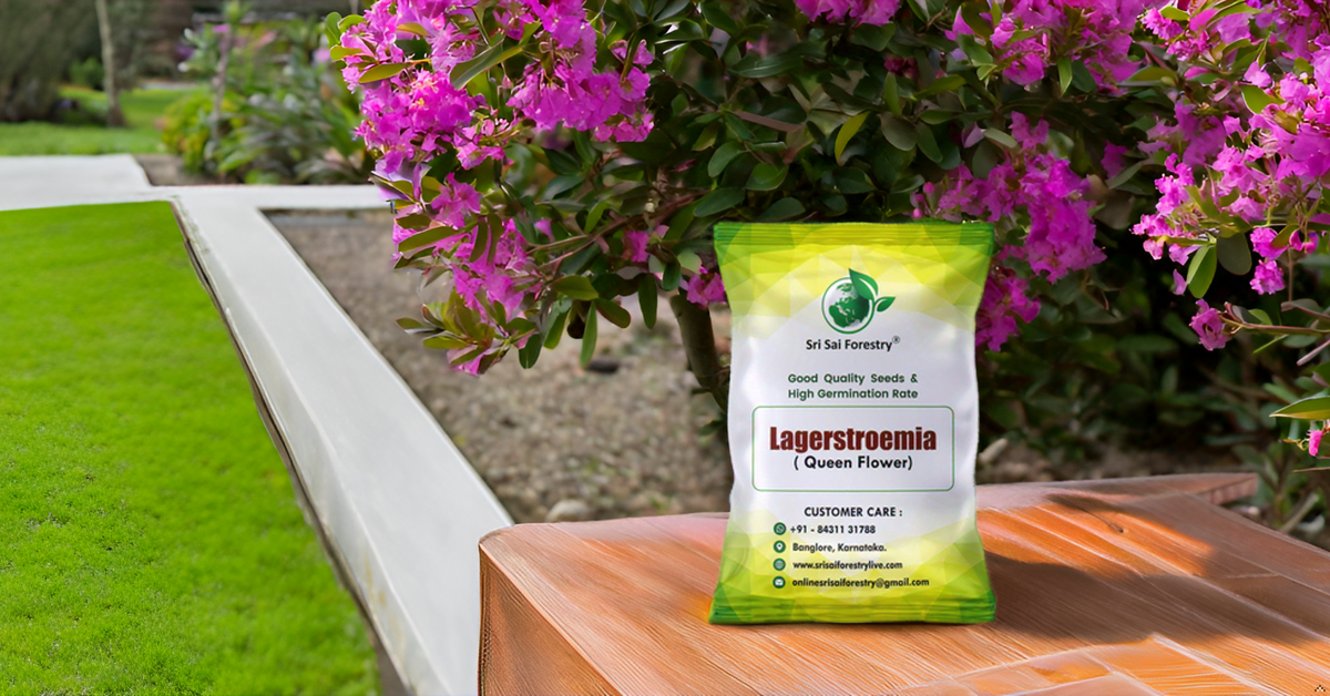 Lagerstroemia Speciosa (Pride of India) Tree Seeds β Vibrant Flowering Beauty for Landscaping SRI SAI FORESTRY