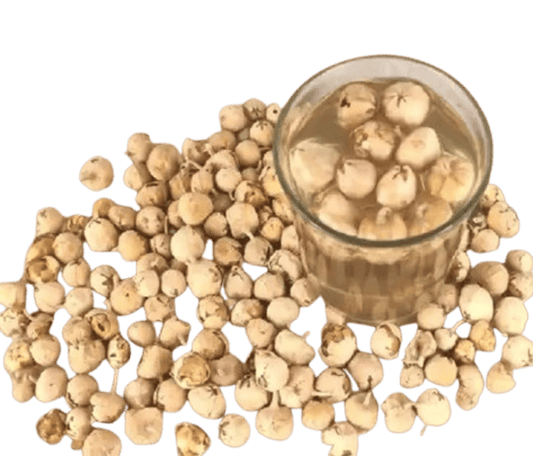 Paneer Dodi | Paneer Phool For Diabetes SRI SAI FORESTRY