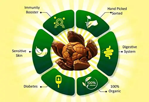 Sky Fruit Seeds for Diabetes - Unpeeled SRI SAI FORESTRY