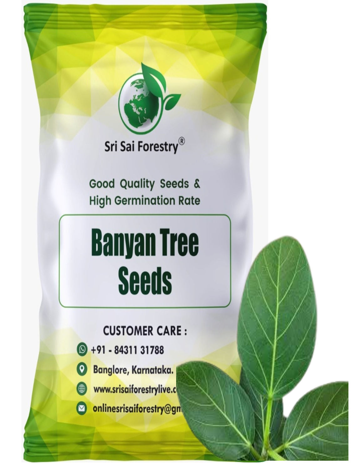 banyan bonsai tree seeds Banyan Tree Seeds (Ficus Benghalensis) – For Avenue Planting and Shade –  SRI SAI FORESTRY