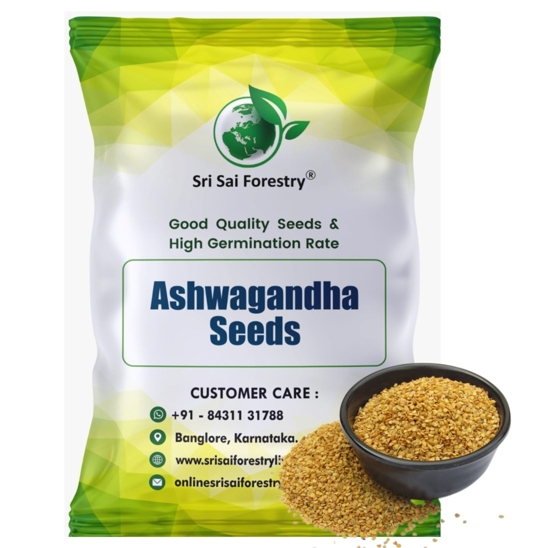 ayurvedic plant seeds Ashwagandha Seeds – Grow Your Own Powerful Ayurvedic Herb at Home – SRI SAI FORESTRY