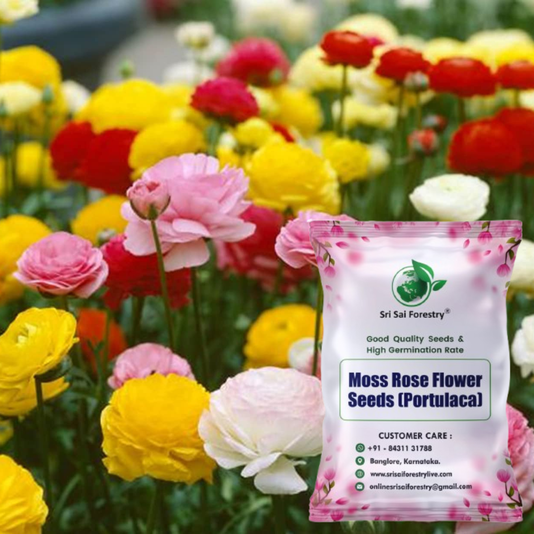 moss rose purslane seeds Moss Rose (Portulaca) Mix Color Flower Seeds – Drought-Tolerant Blooms – SRI SAI FORESTRY