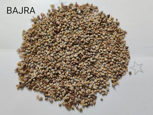 Bajra Napier Hybrid Grass Seeds | Multi Cut Grass Seed SRI SAI FORESTRY