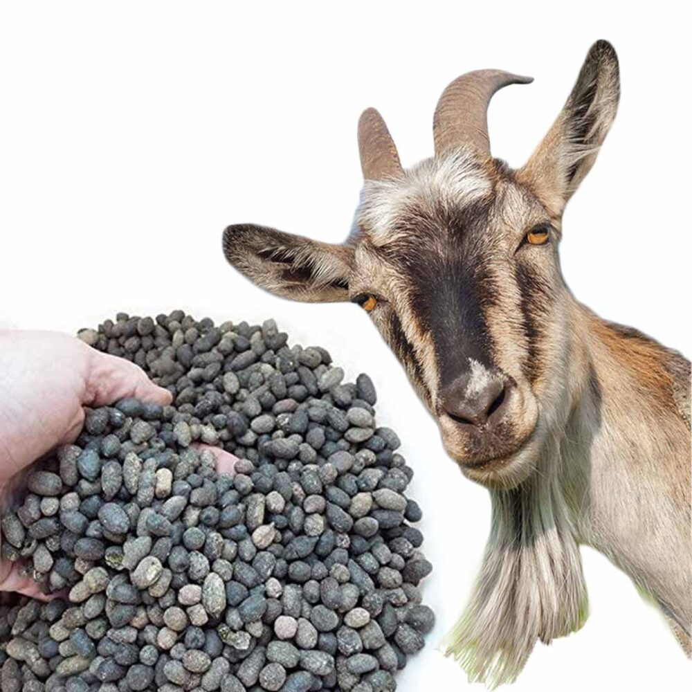 Organic Goat Manure for Gardening, Premium Nutrient Booster, Vibrant Plant Growth SRI SAI FORESTRY