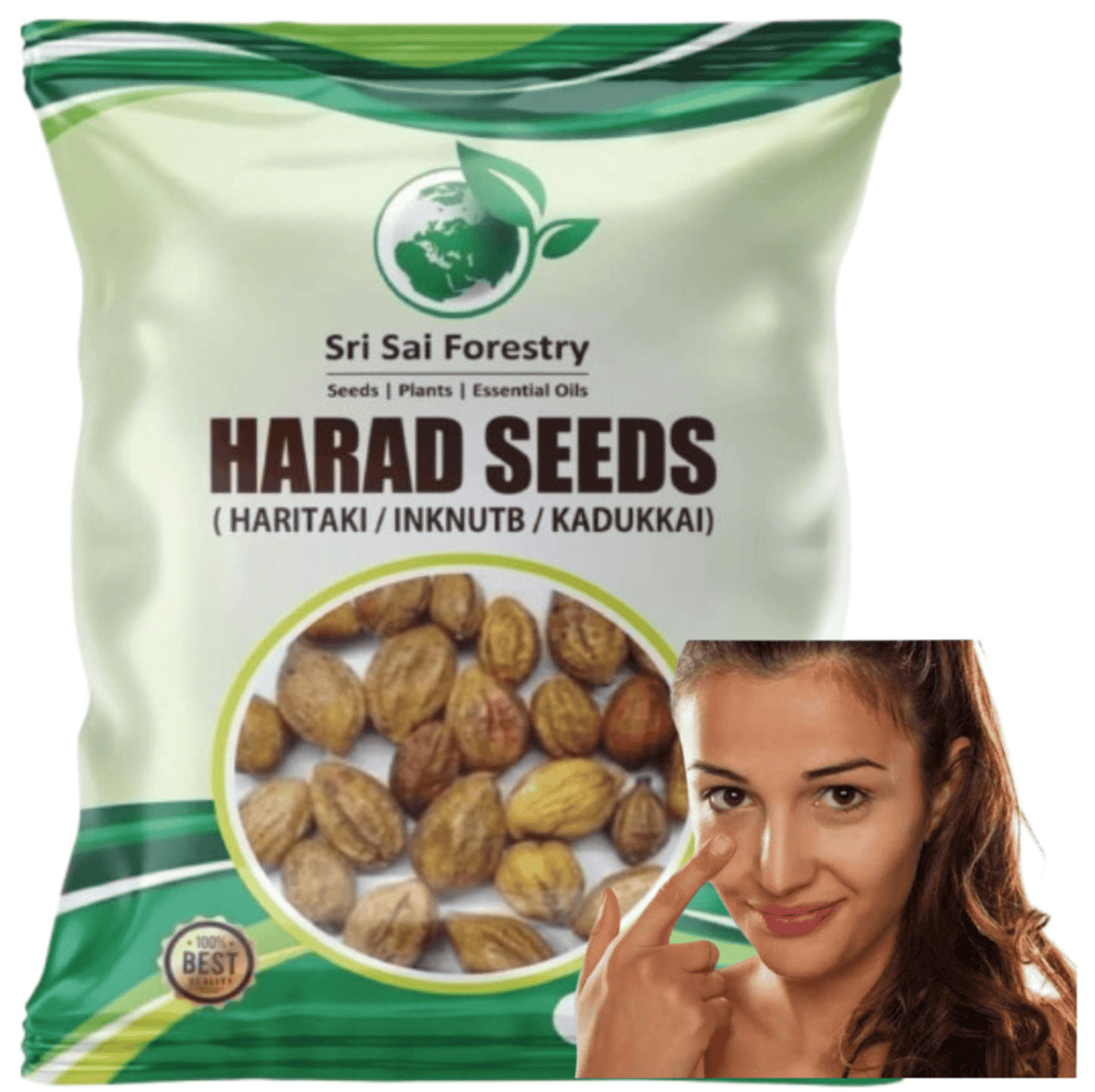 Organic Badi Harad Seeds (Haritaki | Kadukkai | Karakkaya | Terminalia Chebula | Ink Nut Seeds SRI SAI FORESTRY