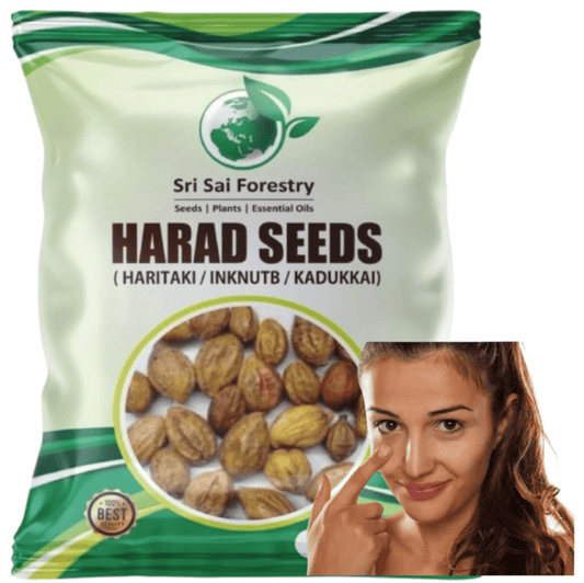 Organic Badi Harad Seeds (Haritaki | Kadukkai | Karakkaya | Terminalia Chebula | Ink Nut Seeds SRI SAI FORESTRY