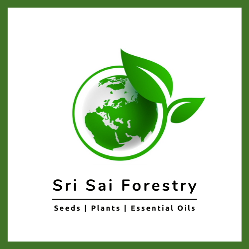 SRI SAI FORESTRY logo