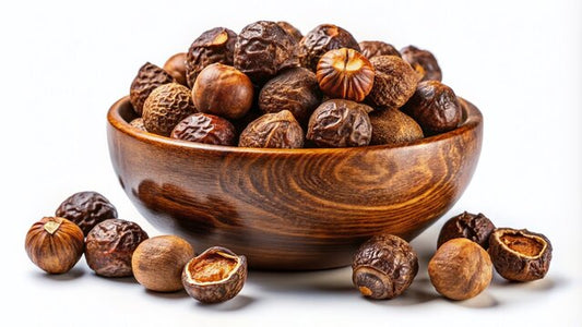 Soap Nut Tree Seeds (Sapindus Marginatus), Indian Reetha Seed for Home Use and Planting SRI SAI FORESTRY