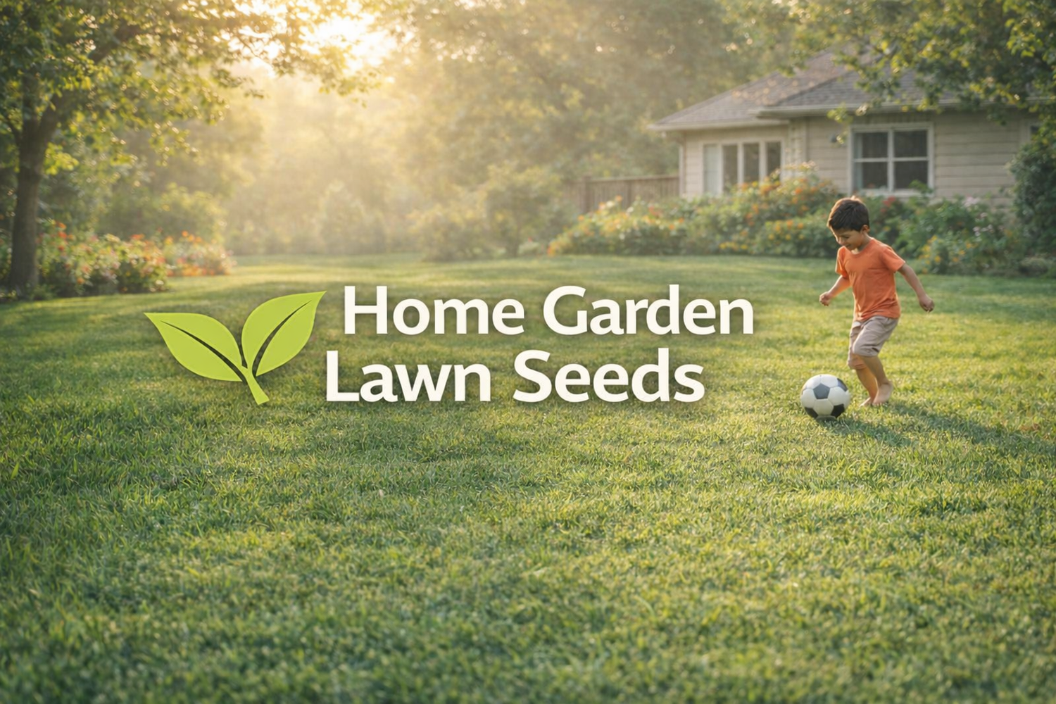 Home Lawn Grass Seeds SRI SAI FORESTRY