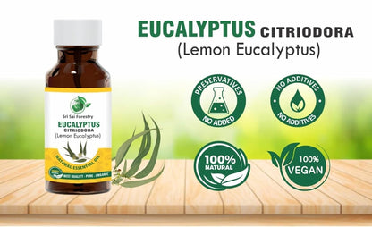 Eucalyptus Citriodora Oil – Refreshing Lemon Scent for Aromatherapy (Lemon Eucalyptus) SRI SAI FORESTRY