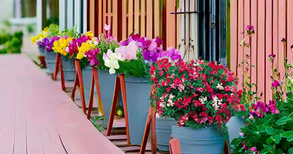 Sweet Peas Flower Seeds – Vibrant & Fragrant Blooms for Your Garden, Balcony & Terrace SRI SAI FORESTRY