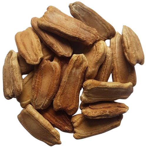 Bottle Gourd Seeds for Planting, Lauki | Ghiya | Doodhi | Sorakaya | Suraikai | Kaddu | Lau Vegetable Seeds for Home Garden, Terrace, Balcony & Kitchen Gardening SRI SAI FORESTRY