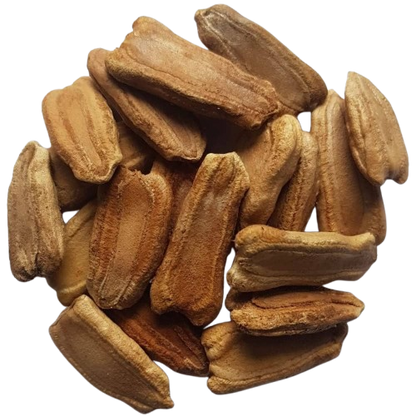 Bottle Gourd Seeds for Planting, Lauki | Ghiya | Doodhi | Sorakaya | Suraikai | Kaddu | Lau Vegetable Seeds for Home Garden, Terrace, Balcony & Kitchen Gardening SRI SAI FORESTRY