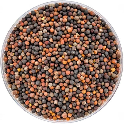 Cabbage Seeds for Planting (Patta Gobi, Kobi, Muttaikos) Vegetable Seed for Balcony, Terrace &amp; Home Kitchen Garde SRI SAI FORESTRY