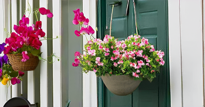 Sweet Peas Flower Seeds – Vibrant & Fragrant Blooms for Your Garden, Balcony & Terrace SRI SAI FORESTRY