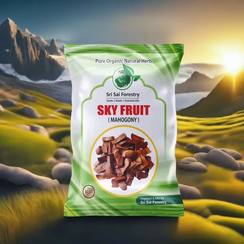 Adavi Badam, Sugar Almonds For Diabetes and Immunity Booster SRI SAI FORESTRY