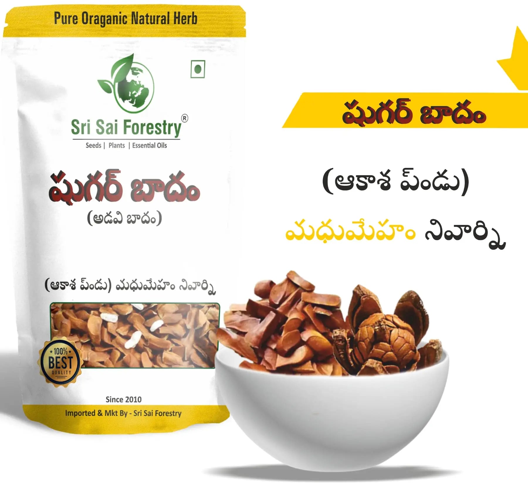 Adavi Badam, Sugar Almonds For Diabetes and Immunity Booster SRI SAI FORESTRY