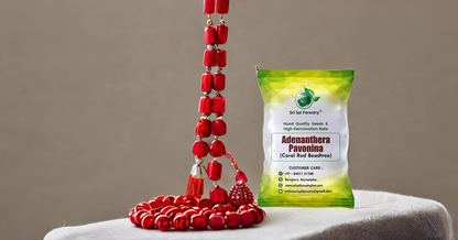 Coral Wood Tree Seeds (Adenanthera Pavonina) – Red Lucky Seeds SRI SAI FORESTRY