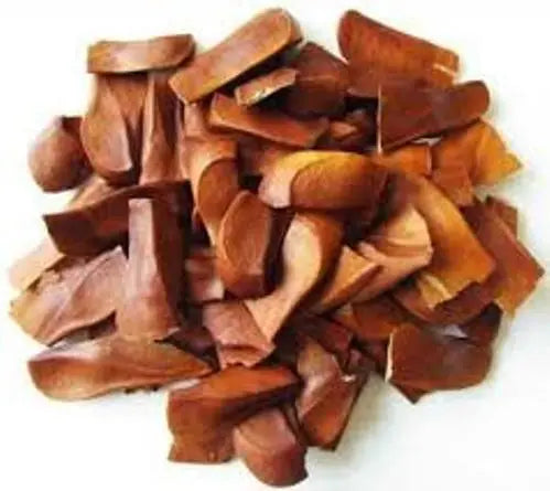 African Mahogany Tree Seeds For Planting SRI SAI FORESTRY