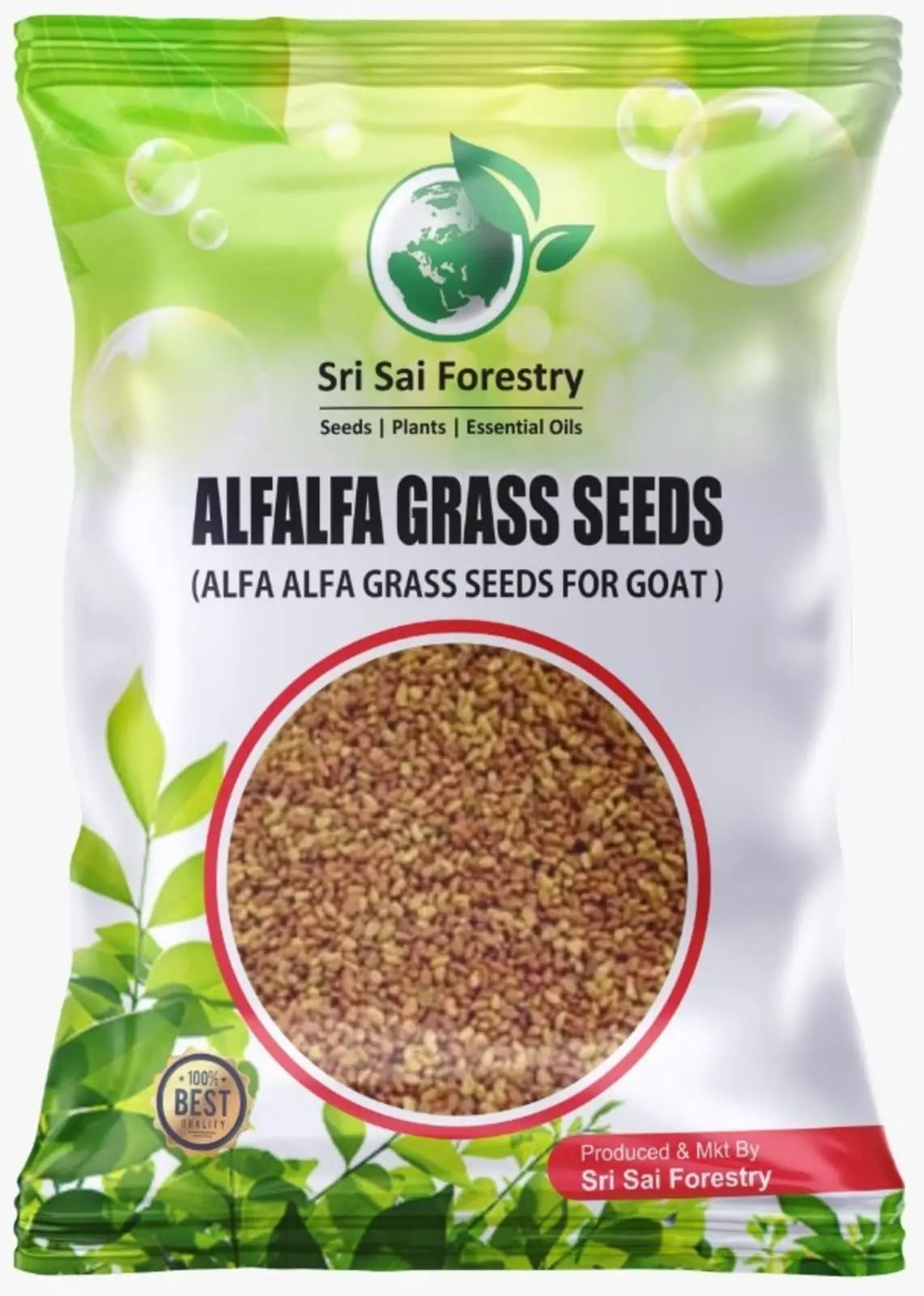 Alfa Alfa Grass Seeds for Cow, Goat Grass Seeds | Alfalfa Grass Seeds SRI SAI FORESTRY