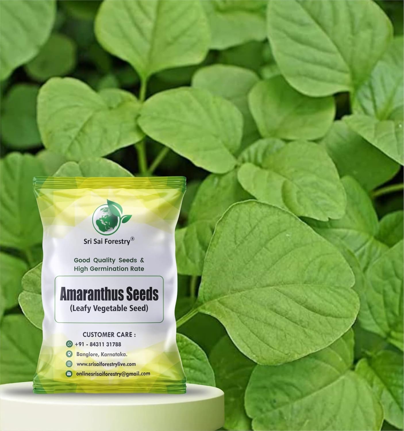 Amaranthus Seeds For Home Garden Seed SRI SAI FORESTRY Amaranthus Seeds For Home Garden Seed SRI SAI FORESTRY