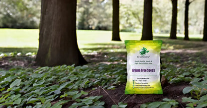 Arjuna Seeds for Planting -Terminalia SRI SAI FORESTRY