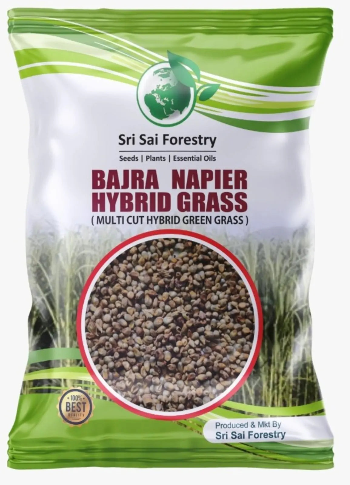 Bajra Napier Hybrid Grass Seeds | Multi Cut Grass Seed SRI SAI FORESTRY