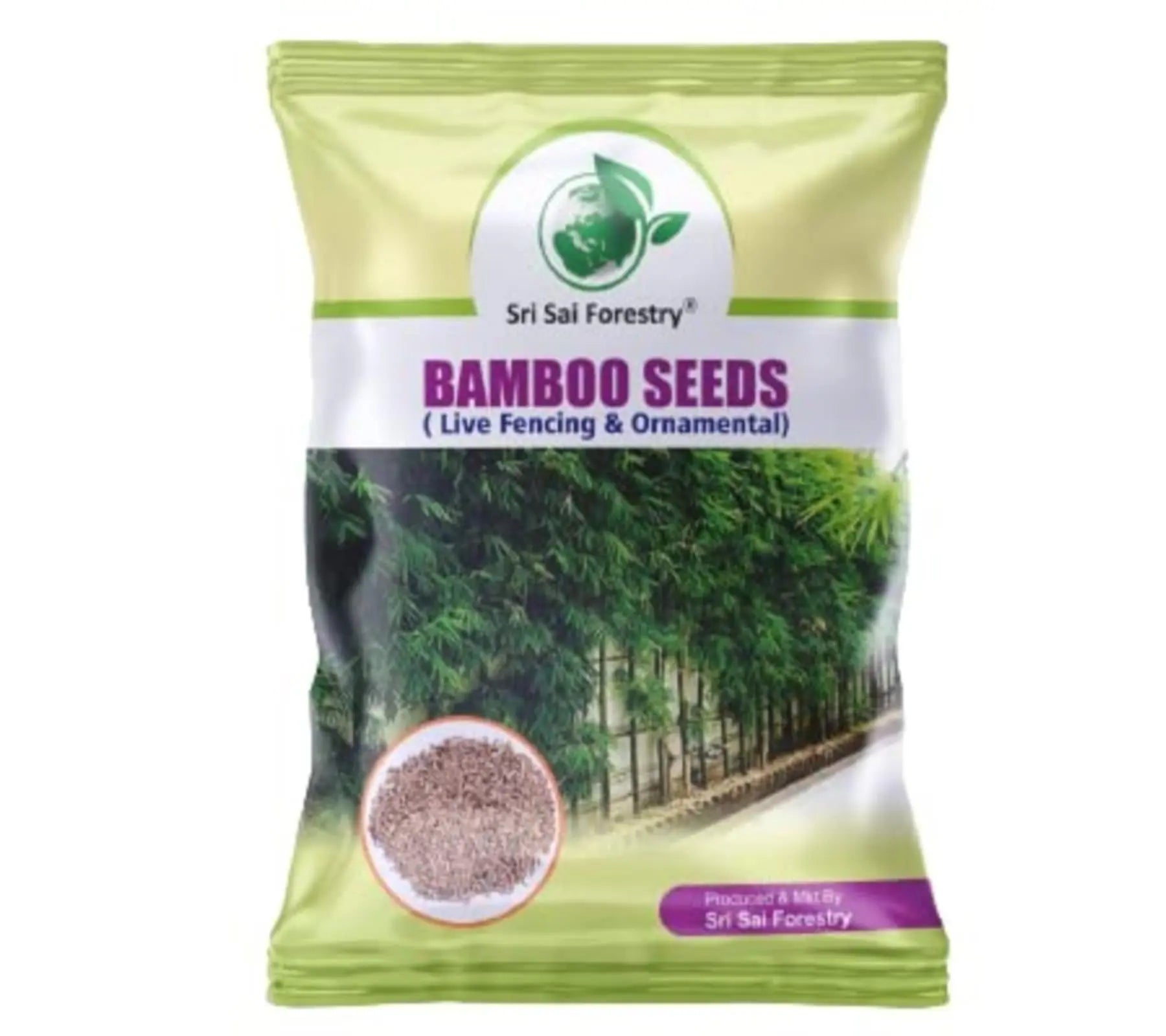 Bamboo Seeds Live Fencing for Home Garden | Ornamental  Bamboo Seeds SRI SAI FORESTRY