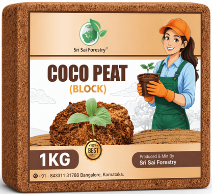 Cocopeat Block – 100% Natural Coconut Coir Fiber SRI SAI FORESTRY