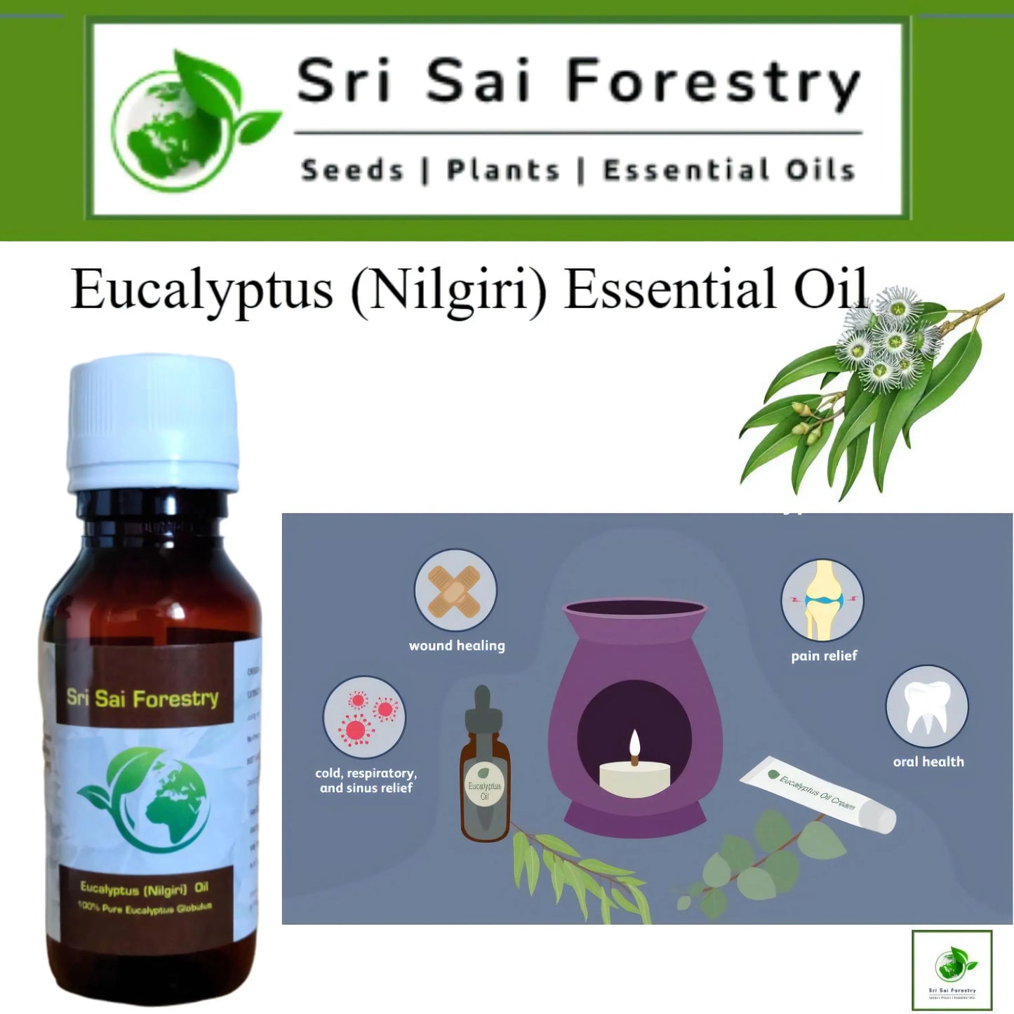 Eucalyptus (Nilgiri) Essential Oil - Therapeutic Grade SRI SAI FORESTRY