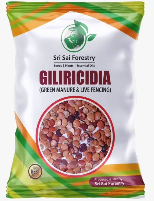 Gliricidia Sepium Seeds For Green Manure and Live Fencing SRI SAI FORESTRY