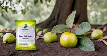 Guava Tree Seeds for Planting SRI SAI FORESTRY