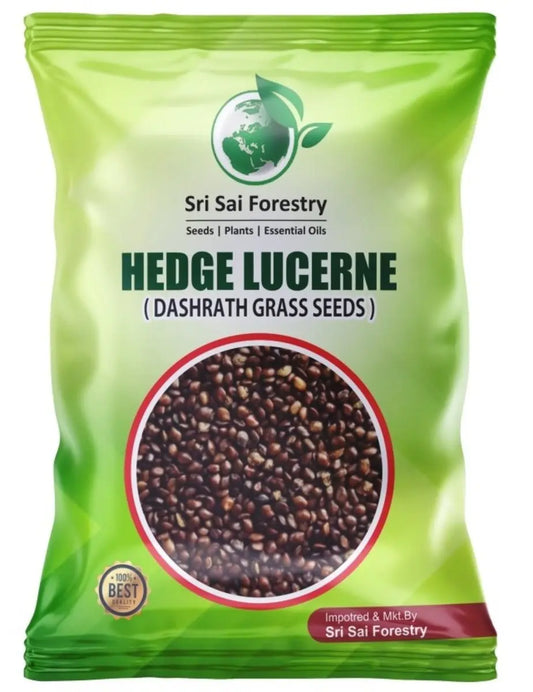 Hedge Lucerne Grass Seeds, Velimasal, Desmanthus, Dasrath Grass Seed, Animal Fodder Seeds SRI SAI FORESTRY