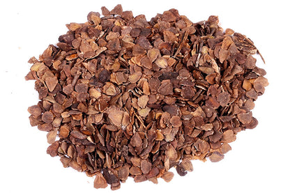 Blue Jacaranda (Jacaranda Mimosifolia) Tree Seeds – Elegant Avenue and Live Fencing Flowering Tree SRI SAI FORESTRY