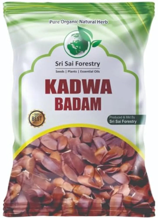 Kadwa Badam Seeds - Sky Fruit Seed - Unpeeled SRI SAI FORESTRY