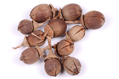 Lagerstroemia Speciosa (Pride of India) Tree Seeds – Vibrant Flowering Beauty for Landscaping SRI SAI FORESTRY