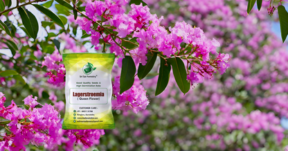 Lagerstroemia Speciosa (Pride of India) Tree Seeds – Vibrant Flowering Beauty for Landscaping SRI SAI FORESTRY