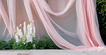 Larkspur (Delphinium) Annual Flower Seeds – Elegant Spikes of Color for Your Garden & Balcony SRI SAI FORESTRY