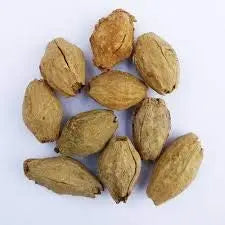 Melia Dubia Seeds ( Malabar Neem, Hebbevu) Fast Growing Plywood Timber Tree Seeds SRI SAI FORESTRY