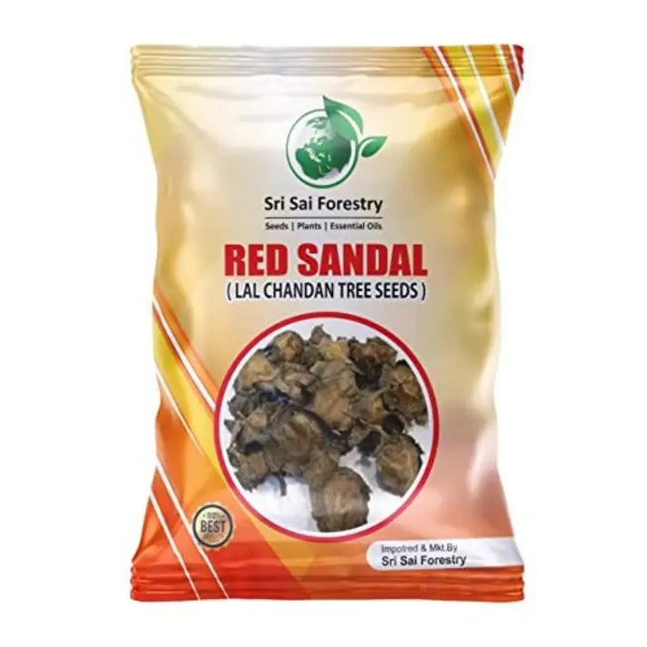 Red Sandalwood Tree Seeds for Planting | Lal Chandan | Raktha Chandan Seed SRI SAI FORESTRY