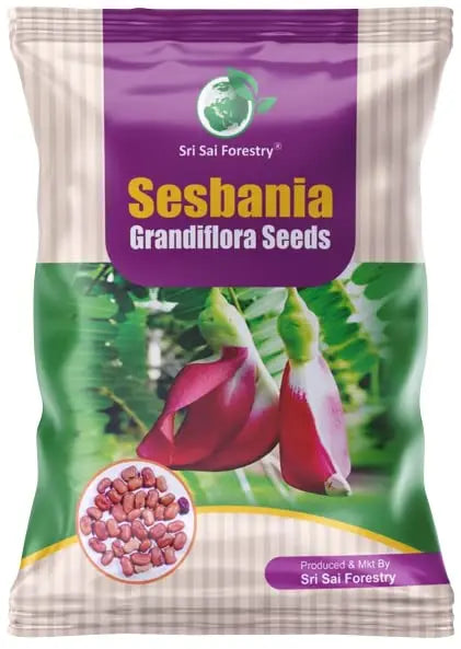 Shevari Tree Sesbania Grandiflora Seeds - HumingBird, Agati Tree Seed - SRI SAI ...