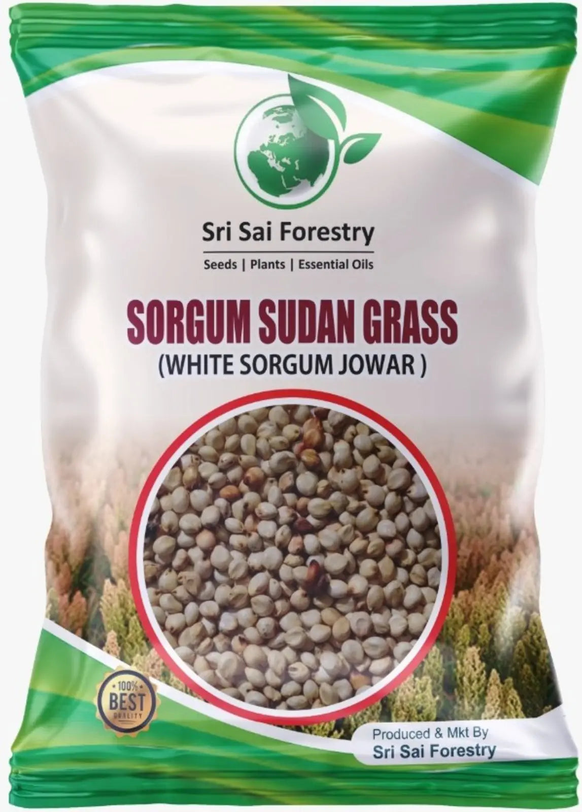 Sorgum Sudan Grass Seeds | High Yield Grass for Cattle SRI SAI FORESTRY