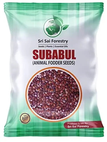 Subabul Seeds for Animal Fodder and Green Manure SRI SAI FORESTRY